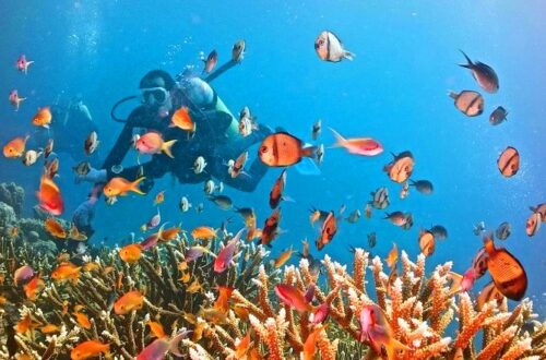 Tawali Diving Package